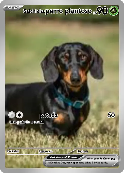 dachshund pokemon card Two newest additions to my sisters Dachshund Pokemon card collection : r/ Dachshund