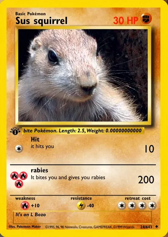 Card Sus squirrel
